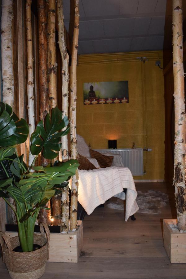 Bouillon - Gite Wellness Dans L Air Du Vent Sensenruth Екстериор снимка